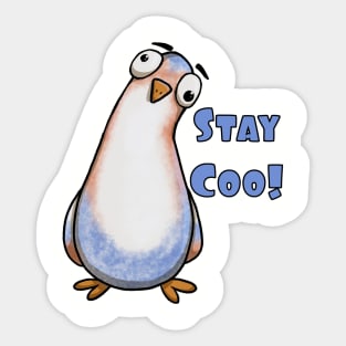 Stay Coo Pigeon  - Curious Stare Sticker